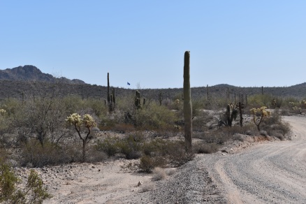 The blue flag waving in the distance signals the availability of water provided by Humane Borders.
