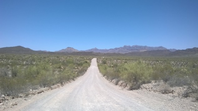 The Ajo Mountain scenic loop is 21 miles.